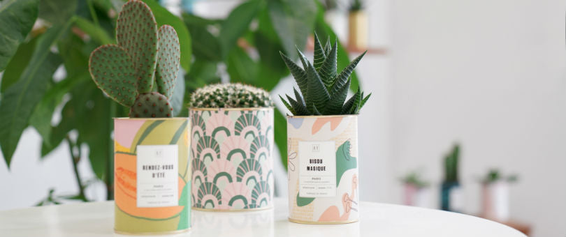 AŸ cactus, l'entrepreneuriat féminin en France