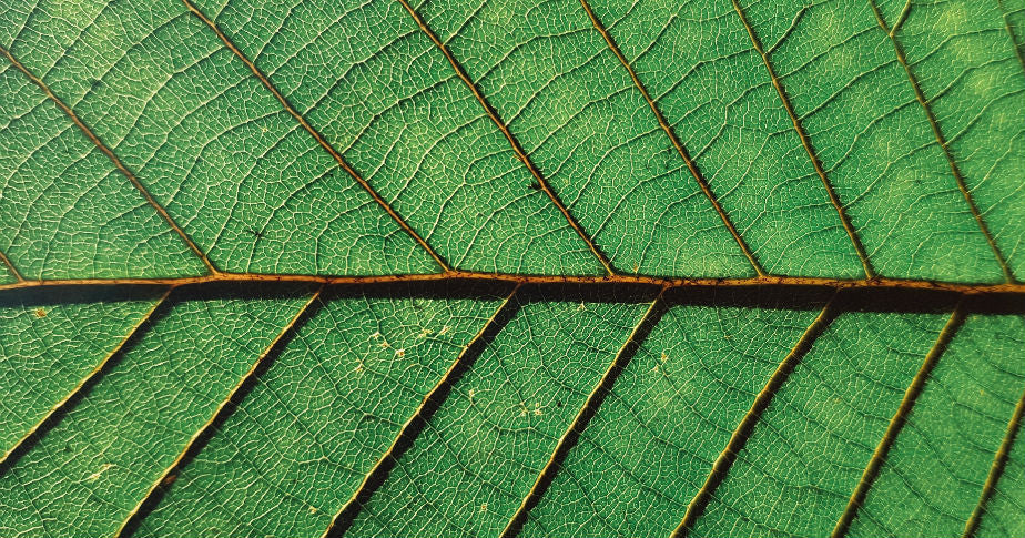 Black for Good, le mouvement des marques pour allier action commerciale et engagement sociétal