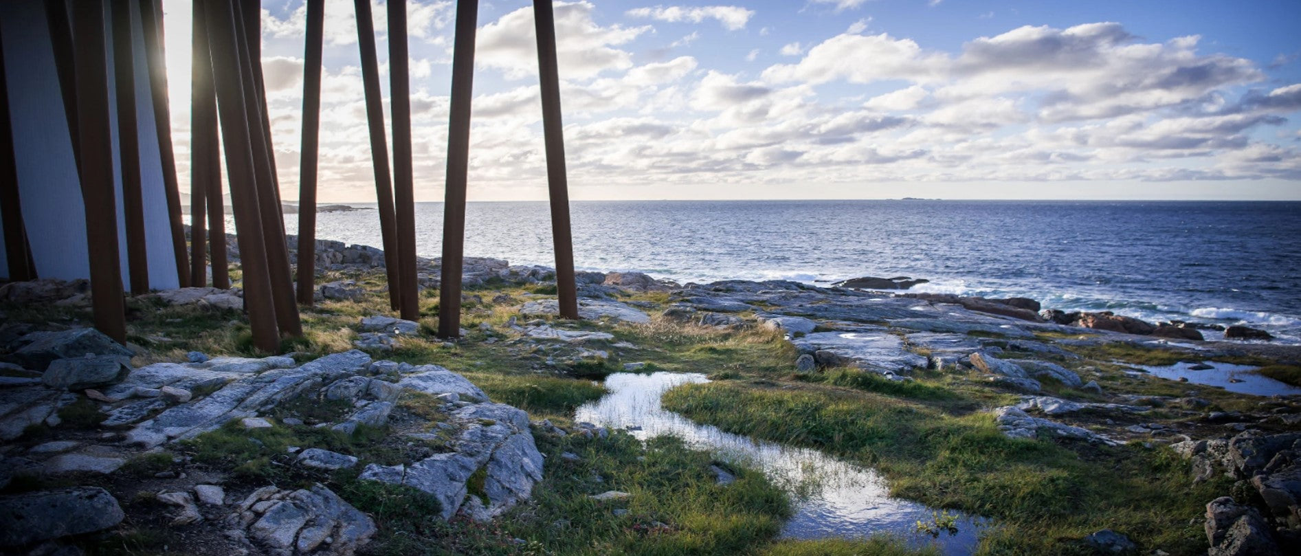 Changement climatique : l'engagement de Shopify